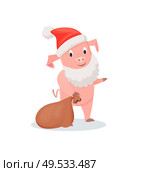 Pig in Santa costume with gifts sack, New Year holiday. Domestic animal in festive outfit, winter feasts celebration, zodiac creature vector illustration. Pig in Santa Costume with Gifts Sack, New Year. Стоковая иллюстрация, агентство Ingram Publishing / Фотобанк Лори