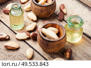 Gourmet peeled Brazil nut and jars of oil.. Brazil nut or Bertholletia. Стоковое фото, агентство Ingram Publishing / Фотобанк Лори