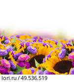 mixed fresh autumn flowers border  isolated on white background. mixed autumn flowers. Стоковое фото, агентство Ingram Publishing / Фотобанк Лори