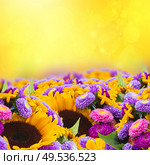 mixed fresh autumn flowers border  on golden bokeh background. mixed autumn flowers. Стоковое фото, агентство Ingram Publishing / Фотобанк Лори