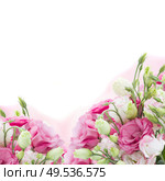 bunch of pink eustoma flowers isolated on white background. bunch of  pink eustoma flowers. Стоковое фото, агентство Ingram Publishing / Фотобанк Лори