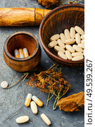 Herbal pills with healthy medical plant.Alternative medicine herbal and pills. Herbal capsules from herbs. Стоковое фото, агентство Ingram Publishing / Фотобанк Лори