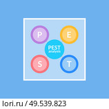 Best analysis information vector, business infochart with sections and circles. Info in round shaped dot, design of chart with data, segments in frame. Best Analysis Infographic with Circles Set Icon. Стоковая иллюстрация, агентство Ingram Publishing / Фотобанк Лори