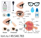 Eye care icons set with myopia and presbyopia symbols flat isolated vector illustration. Стоковая иллюстрация, агентство Ingram Publishing / Фотобанк Лори