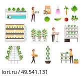 Greenhouse farming set with vertical hydroponics and aeroponics symbols cartoon vector illustration. Стоковая иллюстрация, агентство Ingram Publishing / Фотобанк Лори