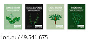 Set of four isolated vertical posters with colourful encyclopedia images of prehistoric plants and editable text vector illustration. Стоковая иллюстрация, агентство Ingram Publishing / Фотобанк Лори