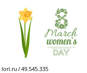 Womens international day, greeting card decorated by flowers, 8 March lettering. Yellow daffodil, spring holiday for ladies vector postcard with blossom. Spring Holiday, Womens Day, Yellow Daffodil Vector. Стоковая иллюстрация, агентство Ingram Publishing / Фотобанк Лори