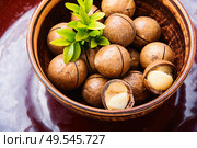 Heap of macadamia nuts in bowl.Healthy product. Shelled macadamia nuts. Стоковое фото, агентство Ingram Publishing / Фотобанк Лори
