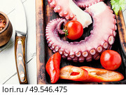Tentacles of raw octopus on kitchen board.Mediterranean seafood.. Fresh raw octopus on cutting board. Стоковое фото, агентство Ingram Publishing / Фотобанк Лори