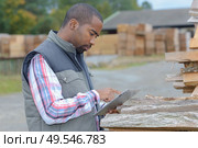 lumberyard clerk inspecting the products. Стоковое фото, агентство Ingram Publishing / Фотобанк Лори