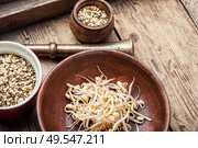 Set dry green bean and sprouts moong or mung. Mung beans on wooden table. Стоковое фото, агентство Ingram Publishing / Фотобанк Лори