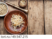 Set dry green bean and sprouts moong or mung. Mung beans on wooden table. Стоковое фото, агентство Ingram Publishing / Фотобанк Лори