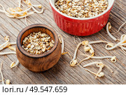 Set dry green bean and sprouts moong or mung.Sprouted moong, mung or green gram. Mung beans on wooden table. Стоковое фото, агентство Ingram Publishing / Фотобанк Лори