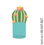 Cactus plant with flowering vector, isolated icon of houseplant in pot, growing flora. Thorns of cacti with flowers and orange blossom, natural plant. Cactus Flower in Pot, Houseplant Isolated Icon. Стоковая иллюстрация, агентство Ingram Publishing / Фотобанк Лори