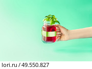 Summer drink in female hand. Red refreshing berries beverage in glass jar with green white branding mock up at sunny bight mint background. Summer mood. Blank Label at juice bottle. Стоковое фото, агентство Ingram Publishing / Фотобанк Лори