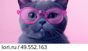 Close-up of a stylish gray cat wearing oversized pink glasses on a pastel pink background. Humorous, fashionable, and visually striking pet portrait with strong personality. Copy space. Banner. Стоковое AI-изображение, AI-художник Евгений Демидюк / Фотобанк Лори
