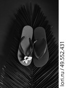 Minamalist black summer flat lay border with palm leaf and flip-flops sandals. Summer flat lay scenery. Стоковое фото, агентство Ingram Publishing / Фотобанк Лори