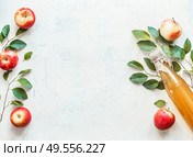 Bottle with homemade apple cider vinegar with apples and green leaves on white background. Frame. Apple season. Healthy fermented food concept. Стоковое фото, агентство Ingram Publishing / Фотобанк Лори