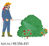 Man wearing special protective uniform vector, male with respirator and sprayer, farmer spraying roses bushes in garden with toxic liquid, pesticides. Worker Spraying Bushes of Plants, Roses Flora. Стоковая иллюстрация, агентство Ingram Publishing / Фотобанк Лори