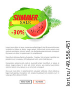 Summer sale watermelon discount isolated banner with text sample. Tropical leaves of palm tree, juicy fruit with seeds, offering for clients on palm leaves. Summer Sale Watermelon Discount Isolated Banner. Стоковая иллюстрация, агентство Ingram Publishing / Фотобанк Лори