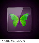 Glass Frame on dark Background with colorful green butterfly. Vector Illustration. EPS10. Glass Frame on dark Background with colorful green butterfly. Vector Illustration. Стоковая иллюстрация, агентство Ingram Publishing / Фотобанк Лори