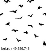Set of different gull silhouettes. Flying, eating, going, taking off. Seamless pattern. Vector Illustrator. Set of different gull silhouettes. Flying, eating, going, taking off. Seamless pattern. Стоковая иллюстрация, агентство Ingram Publishing / Фотобанк Лори