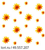Colorful yellow echinacea on white background. Seamless pattern. Vector illustration. EPS10. Colorful yellow echinacea on white background. Seamless pattern. Vector illustration. Стоковая иллюстрация, агентство Ingram Publishing / Фотобанк Лори