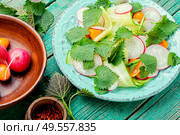 Healthy vegetable salad of nettle on plate.Healthy food concept. Fresh vegetable salad. Стоковое фото, агентство Ingram Publishing / Фотобанк Лори
