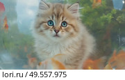 A kitten is looking into a fish tank. Стоковое AI-видео, аниматор Виктория Кольцова / Фотобанк Лори