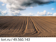 Plowed field with tracks under a blue sky with dark clouds in the spring. Стоковое фото, агентство Ingram Publishing / Фотобанк Лори