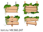 Tropical twining liana vines leaves twist around 4 classical cartoon wooden sign boards set isolated vector illustration. Стоковая иллюстрация, агентство Ingram Publishing / Фотобанк Лори