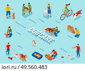 Dog care center isometric flowchart with puppy obedience training pets outdoor walking exercise grooming feeding vector illustration. Стоковая иллюстрация, агентство Ingram Publishing / Фотобанк Лори