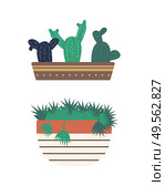 Greenhouse set of isolated plants vector, flowerpot with flora, flat style. Conservatory with greenery for home, flower with foliage, cactus with thorns. Cactus in Pot and Flower, Biodiversity Greenhouse. Стоковая иллюстрация, агентство Ingram Publishing / Фотобанк Лори