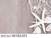 border of starfish and sea shells on wooden planks background with copy space. starfish and sea shells on wooden board. Стоковое фото, агентство Ingram Publishing / Фотобанк Лори