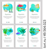 Aquaristics tropical and exotic fish vector, seaweed and marine life flora and fauna. Floral decor and animals diversity, aquatic dwellers. Multicolored fish swim in an aquarium. Website or slider app. Aquaristics Fish and Seaweed, Tropical Animals. Стоковая иллюстрация, агентство Ingram Publishing / Фотобанк Лори