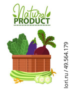 Natural product label decorated by cabbage, beet in basket, zucchini and slices, vegetables assortment in pannier, ad with vegetarian food vector. Vegetables in Basket, Vegan Food, Organic Vector. Стоковая иллюстрация, агентство Ingram Publishing / Фотобанк Лори
