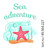 Sea adventure vector, pink seastar living underwater. Creature sea dweller, aquatic creature on sand. Seaweed foliage and flora of ocean flat style. Sea Adventure Starfish Deep Down Sea, Seastar. Стоковая иллюстрация, агентство Ingram Publishing / Фотобанк Лори