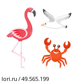 Red crab with face vector, isolated characters. Summer design seabird flying, flamingo pink birdie on long legs with neck. Seafood tropical creatures. Flamingo and Crab, Seagull Sea Bird Characters. Стоковая иллюстрация, агентство Ingram Publishing / Фотобанк Лори