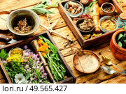 Fresh medicinal,healing herbs.Alternative medicine herbal.Natural herbal medicine. Medicinal herb and flower. Стоковое фото, агентство Ingram Publishing / Фотобанк Лори