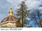 Купол Великокняжеской усыпальницы в Петропавловской крепости. Санкт-Петербург. Редакционное фото, фотограф Александр Щепин / Фотобанк Лори
