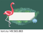 Empty banner for text vector, flamingo and leaves of palm tree with flower. Flora and fauna, pink feathers of bird on long legs, animal with plumage. Flamingo Pink Bird with Exotic Leaves Blank Banner. Стоковая иллюстрация, агентство Ingram Publishing / Фотобанк Лори