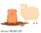 Sheep and pig vector, isolated characters of farm, farming and breeding domestic animals care, piggy sitting in dirt mud on ground, pigsty flat style. Sheep with Wool and Pig Sitting in Dirt Vector. Стоковая иллюстрация, агентство Ingram Publishing / Фотобанк Лори