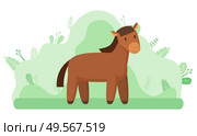 Livestock animal or horse, farming and agriculture vector. Mustang or stallion, ranch or farm at countryside mammal with mane and hoofs on meadow. Horse or Livestock Animal, Farming and Agriculture. Стоковая иллюстрация, агентство Ingram Publishing / Фотобанк Лори