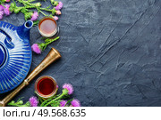 Herbal tea or herbal drink in a ceramic teapot.Healing herbs.. Thistle in herbal medicine. Стоковое фото, агентство Ingram Publishing / Фотобанк Лори