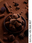 healthy delicious chocolate truffles around ingridients with natural cocoa beans,  powder, cacao butter, cane sugar. healthy sweets concept. close up. Стоковое фото, агентство Ingram Publishing / Фотобанк Лори