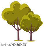 Spring season, isolated plant with big trunk, greenery of forest or park, green foliage of summer tree, leaves frondage flat style, cartoon oak. Vector illustration in flat cartoon style. Spring Season Vector, Isolated Plant with Big Trunk. Стоковая иллюстрация, агентство Ingram Publishing / Фотобанк Лори