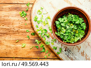 Condiment or spice made from dried green parsley.. Dried parsley leaves for cooking. Стоковое фото, агентство Ingram Publishing / Фотобанк Лори