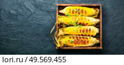 Tasty grilled corn cobs.Delicious grilled mexican corn.Copy space. Grilled corn cobs. Стоковое фото, агентство Ingram Publishing / Фотобанк Лори
