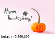Orange pumpkin on pink background, fall feasts and holidays concept with happy thanksgiving greetings. pumpkin on table. Стоковое фото, агентство Ingram Publishing / Фотобанк Лори