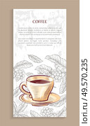 Coffee shop poster, porcelain cup on saucer on background of raw leaves with beans. Vector brown aroma beverage in mug with handle. Cappuccino or latte. Coffee Shop Poster, Porcelain Cup on Saucer, Beans. Стоковая иллюстрация, агентство Ingram Publishing / Фотобанк Лори